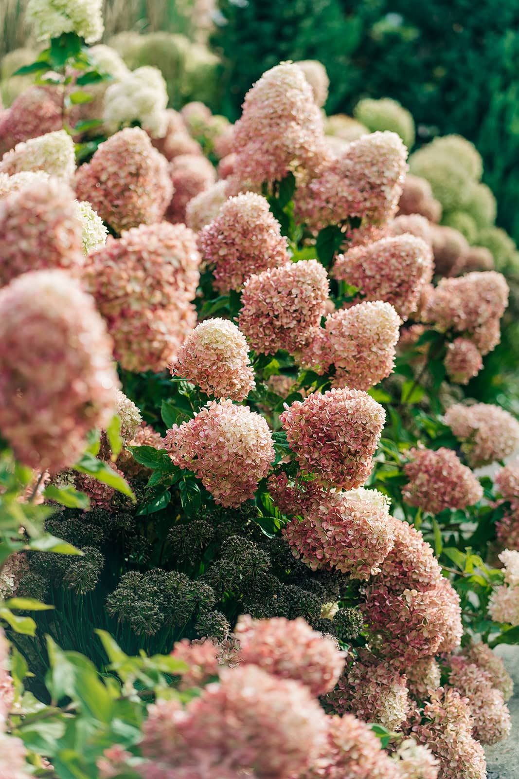 florals at barn wedding venue in minnesota