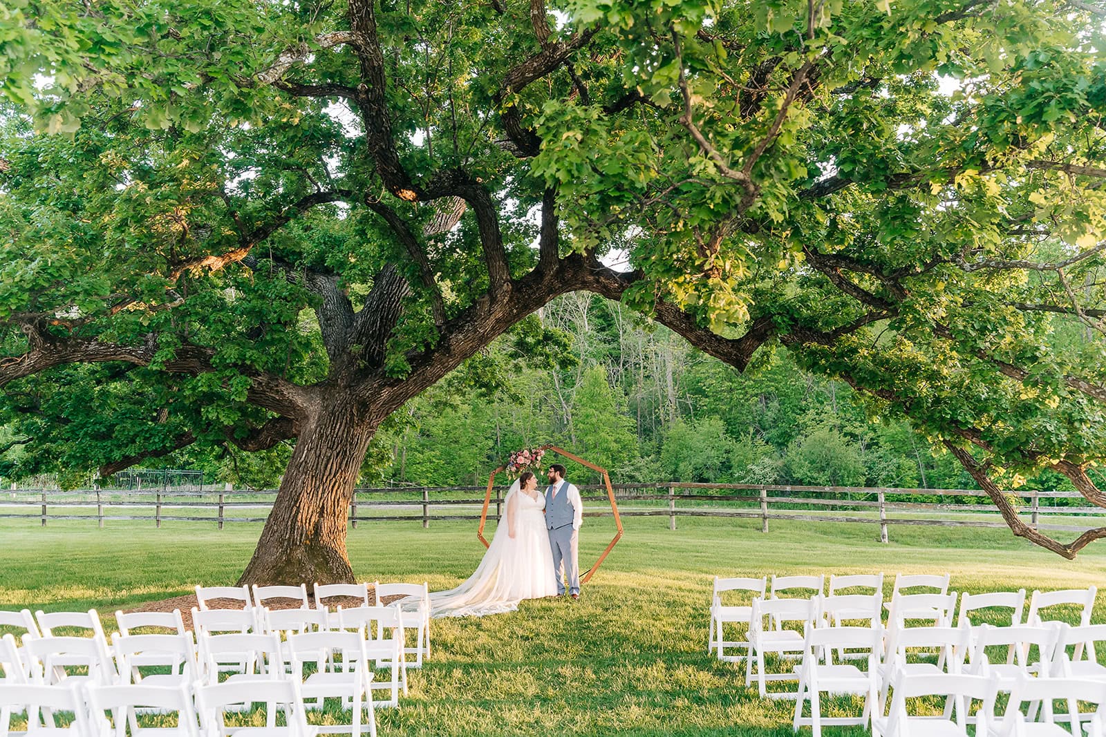 sunset portraits beneath Bur Oak tree Minnesota